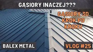 Gąsiory 3D | Krok po kroku