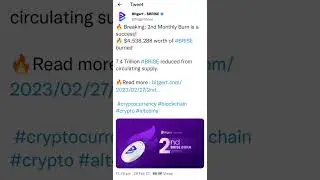 7.4Trillion #BRISE reduced from circulating supply | 2nd monthly brise burning | Bitgert| Job Centre