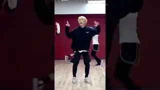 han my pace
