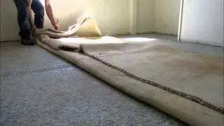 How To Remove Nasty Old Carpet