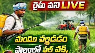 పొలంలో మందు చల్లడం పూర్తి ప్రాసెస్ 🚜💦 రైతు జీవితంలో ఒక రోజు | Farming Work Telugu