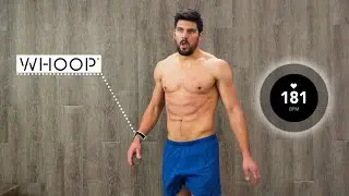 Intense Tabata Workout ft. WHOOP Live Heart Rate Data (w/ Ash Crawford)