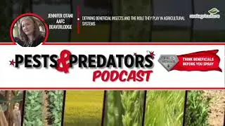 Pests & Predators, Ep 1: Do you know your field heroes?