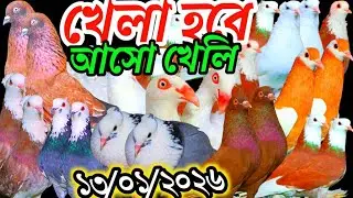 খেলা,হবে,আজ,আসো,খেলি,মাথা,নষ্ট,রাজগোল্লা,গিরিবাজ,সাফ,চিলা,লোটন,লাক্ষা,দেশি-বিদেশি,কবুতর,আজ