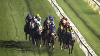 DWCC Meydan Racecourse 14-1-16, Race 7 Fujairah Container Terminal DP World