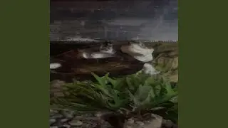 Karapace