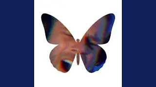 פרפרים