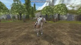 Haflinger Kopen | Star Stable | Ruby Kittenhouse