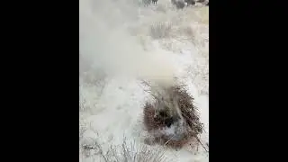 این فیلم خیلی جذابه امیدوارم تا آخر نگاه کرده باشی و لذت ببری بالایک کردن تو این فیلم بیشتر دیده میش