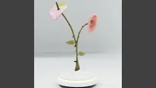 Ascend