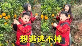 是谁放的音乐？这也太吓人了！胖晨急的想逃逃不掉！【泡沫的夏天】