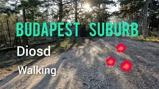 |4K| Hungary 🇭🇺 | Walking in Diosd | Winter 2023 | Real sounds | ASMR | GoPro | 60 fps