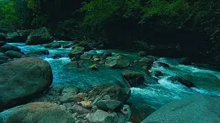 24/7 Mountain River Stream &ndash; Relaxing Waterfall Sounds for Sleeping and Studying