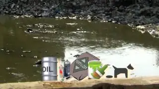 Help Save the Lakes, Rivers, and Oceans with The Beach Boys!