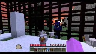 minecraft-insane asylum
