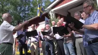 Nationaldagsfirande i Bure&aring; 2014