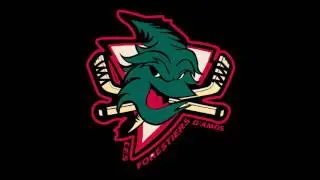 Hockey Warm Up Les Forestiers d'Amos, saison 2016-2017