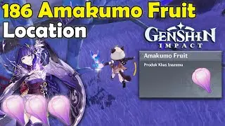 186 Amakumo Fruit Farming Route Location - Semua Amakumo Fruit Seirai Island - Genshin Impact