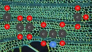 Pyrolysis Explained