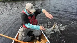 Wood Lake&hellip;explosive fishing ! (BWCA)