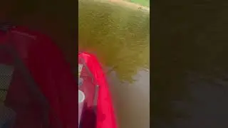 Kayak fishing at croix river #fishing #fish