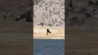 wingfoiling Lake Isabella