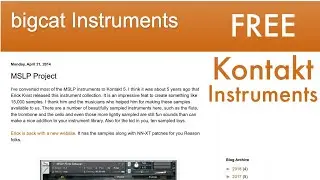MSLP Project - Big Cat Instrument Best Free Kontakt Library (2022)
