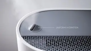Shooting and editing video, motion design and animation of titles. Air purifier