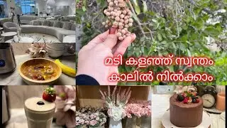 അബുദാബിയിലേ ഒരു ദിവസം Tasty Banana Smoothie & Shopping vlog