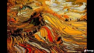 Rice terraces in China  Рисовые террасы Хунхэ-Хани  в Китае