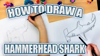 HOW TO DRAW A HAMMERHEAD SHARK | STEP-BY-STEP