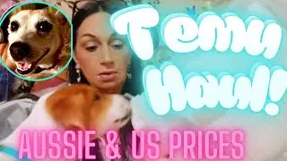Temu Haul & a Pesky Pup! 