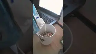 🥛#food #asmr #satisfying #morning #yummy #fyp #sereal #breakfast #milk #frootloops #ultramilk