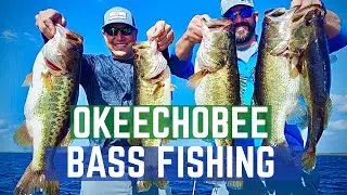 💥Okeechobee Shiner Fishing💥 Over 4️⃣0️⃣ Bass Caught‼️