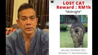 Kucing kesayangan hilang, Rosyam Nor tawar RM1,000 siapa jumpa ‘Midnight’… Rayu pulangkan jika teram