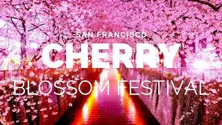 Beautiful Cherry Blossom Festival in San Francisco 4k