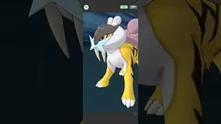 Pok&eacute;mon Masters EX - 1/5 Academy Kris solos Raikou