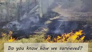 🔥 How we fought a bushfire to save our farm | Real Farm Survival Story