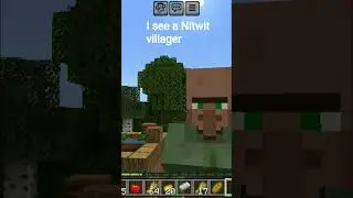 I see a nitwit villager #music #minecraft #countryballs