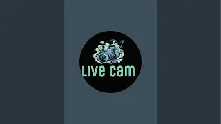wild life live cam is live