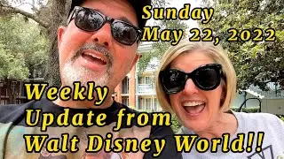Weekly Update - From Disney!