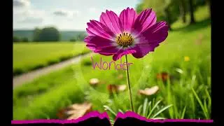 Krashlo - Wonder