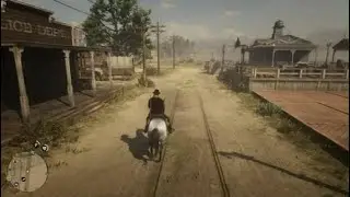 Red Dead Redemption 2_20260109001149