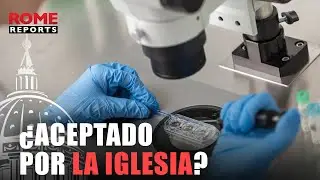 ¿Qué dice la Iglesia Católica sobre la fecundación in vitro?
