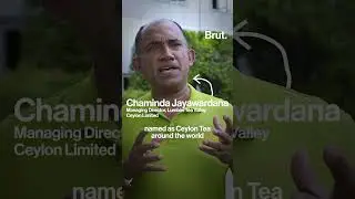 Why Sri Lanka's Ceylon Tea needs protection | In collab with