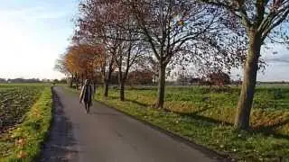 Katrin Giesen - autumn breeze