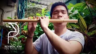 Cat Flute (Sao Meo) - H'mong Vietnamese Instrument