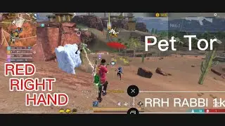 Pet Tor Tame RED RIGHT HAND I'm RRH RABBI 1k 