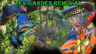 Zen Garden Removal, How to Remove a Difficult Tree with Husqvarna, STC Tree Services