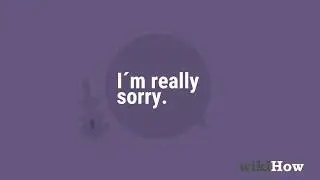 How to Apologize